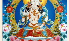 金刚萨埵心咒念诵视频,净化心灵，开启智慧之门